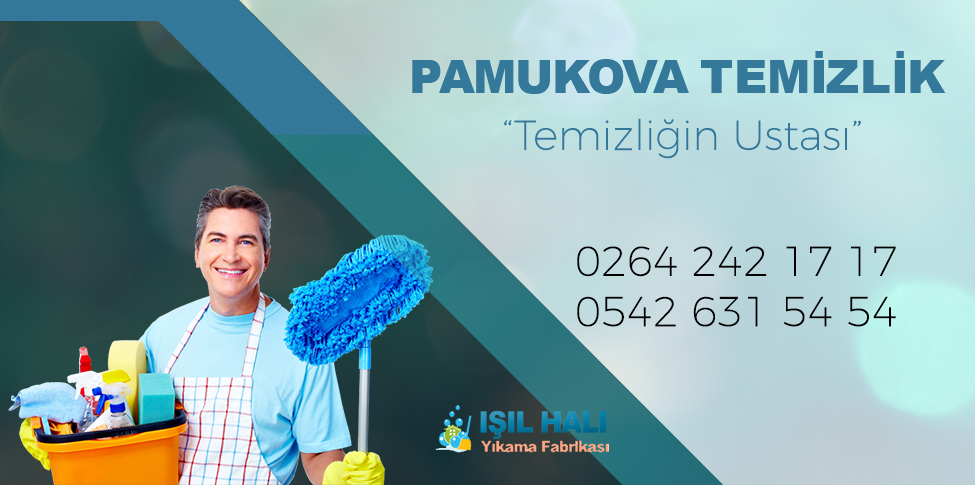 Pamukova Halı Yıkama 